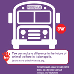It All Starts With A Bus – IndyHumane Mobile Clinic Campaign